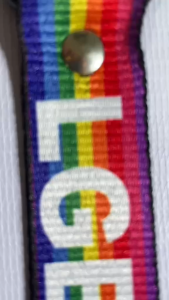 PREMIUM KEYHOLDER (LGBT DESIGN) BUY 1 TAKE 1 KEYHOLDER