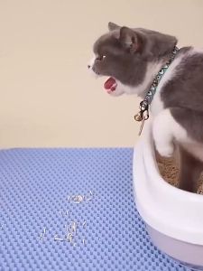 Keset Pasir Kucing Pet Litter Alas Tatakan Pasir Kucing Mat Foldable Double Layer EVA Mudah di Bersihkan