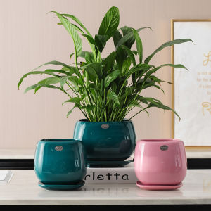 Square Ceramic Flower Pot with Ceramic Tray Large European Style Minimalist Indoor Living Room Balcony Green Radish Homestay Flower Pot