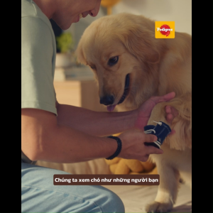 Thức Ăn Dạng Sốt Cho Chó Lớn PEDIGREE 80G