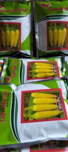 Benih jagung manis BARUNA isi 250 gram Garuda sed