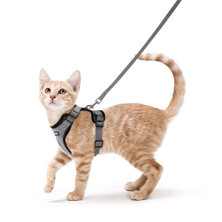 Harness Tali Tuntun Rompi Kucing