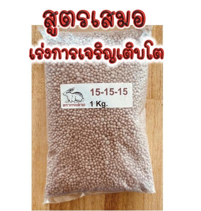 ปุ๋ย สูตรเสมอ 15-15-15 เร่งต้น/ดอก/ผล | Lazada.co.th