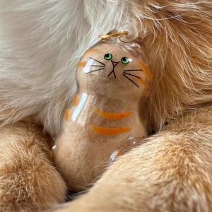 Pet Hair Memorial Keepsake Box & Bottle Transparent Storage Case for Cat Dog Fur DIY Decor Souvenir Gift for Pet Lovers Display
