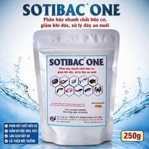 SOTIBAC ONE Hỗ Trợ Tăng Sức Đề Kháng Chống Sốc Môi Trường Cho Cá Lươn Ếch 250g