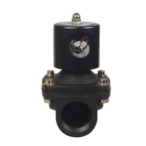 CNHUIZ | Corrosion Resistant Solenoid Valve 2 Inch 220V