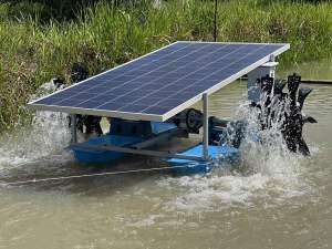 กังหันตีน้ำโซล่าเซลล์ รุ่น4 ใบพัด 📌รับประกัน1ปีเต็ม📌(ครบชุดพร้อมใช้งาน )🔰รุ่น24/500w เครื่องตีน้ำ เครื่องเพิ่มอ๊อกซิเจน บำบัดน้ำเสีย 🔰สินค้ามีรับประกัน