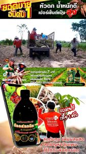 เซ็ตทดลอง อาหารเสริมพืช บีออร์แกนิคพลัส 100 ซีซี ฉีด 10 ไร่ จำนวน 1 ขวด