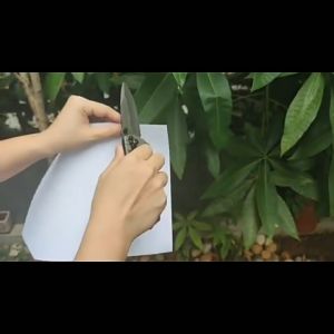 Browning มีดพก มีดพับ มีระบบดีดใบมีด มีดเดินป่า มีดป้องกันตัว เครื่องมือการอยู่รอด ล่าเพื่อความอยู่รอด เข้าค่าย ใช้ในบ้านบ้าน Folding Knife Steel Handle Tactical Pocket Camping Knives Survival Outdoor Hunting Knife