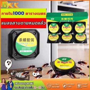 100% แมลงสาบ กําจัด ฆ่ายกรัง มีกาว กระชับ ที่ดักเหยื่อยาฆ่า