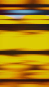 Setelan Imlek Anak Perempuan – Baju Merah Motif Kuda Emas Lucu Usia 1-10 Tahun Bahan Katun Pendek