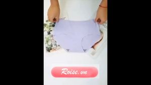 Quần Lót Nữ Đúc Su Thun Lạnh Không Đường May MS810