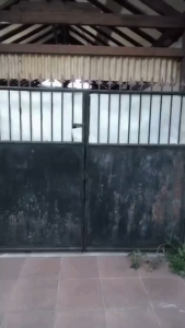 BMW Karpet Ranjau Mika Jebakan Burung Anti Turun ukuran Universal Kandang 1/2/3 Tinggal di sesuaikan