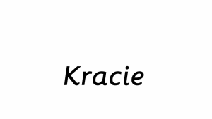 Kracie Kakkonto Extract Granules S (30 Sachets) | Traditional Japanese Cold & Flu Relief