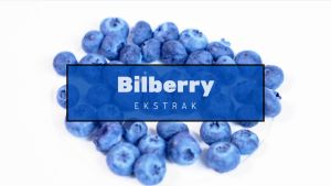 Kapsul Ekstrak Bilberry Obat Suplemen Vitamin Herbal Mata Minus Plus Rabun Jauh Dekat Silinder Katarak Glukoma Glaukoma Malas Lelah Buram Anak Dewasa