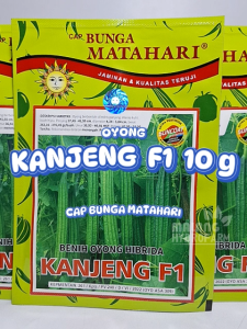 Benih Oyong Kanjeng F1 10 g Cap Bunga Matahari dataran menegah unggul bibit biji sayur bening Gambas hydroponik hidroponik