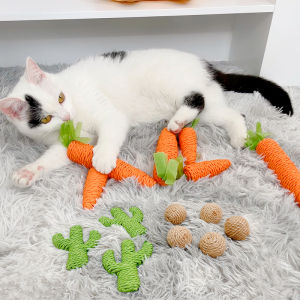 Comprehensive Guide to Chew Proof Kitten Toys & Interactive Cat Teasing Sticks