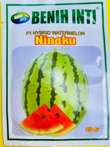 Benih Semangka NINAKU Hibrida F1 produk dari DINASTY INTI AGROSARANA kemasan 20gram MANTAB