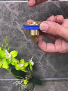 Floor Deodorizer Drainage Filter Useful One Way Valve Shower Drainer Insect Prevention Shower Drainer Seal Stopper Anti Odor Bathroom Accessories