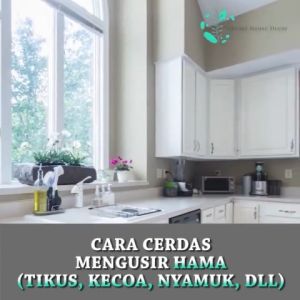 Pengusir Tikus & Nyamuk Ultrasonik Terbaik: Repeller Hama