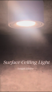 Outsmart Zigbee Smart Surface-Mounted Ceiling Light Spotlight Sera Dimmable Tunable White