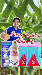 ไพลาฟอกซ์ ขนาด 1 ลิตร สารป้องกันกำจัดโรคพืช  โรคต้นเน่า โรคเน่า  หยุดการลุกลามของเชื้อรา