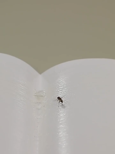 100PCS Makapal Ticky Glue Paper Fly Flies Trap Catcher Bugs Insects Catcher Board Insects Catcher Board Sticky High Quality 10pcs/Pack Sticky Glue Paper Fly Flies Trap Catcher Bugs Insects Catcher Board