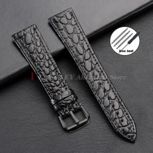 Brown Black Leather Watch Band Crocodile Skin Bracelets Men Women Watch Strap 10/12/13/14/16/18/19/20/21/22mm Gold Buckle Belts