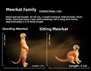 Solid Soft Rubber Simulated Animal World Toys for Children 3-9 Years Old Zoo Nursery Decorations Lion Static Model Dolls