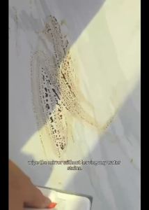 Alat Pel Mop Genggam Alat Pel Mini Mop Praktis Pembersih Kaca Dapur Portable Multifungsi