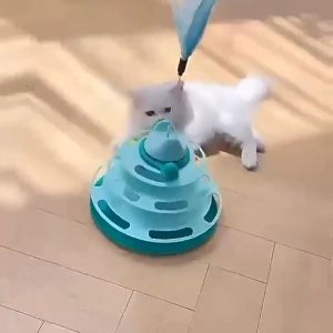 รางบอลแมว4ชั้น ของเล่นแมว รางบอลแมว รางบอล4ชั้น ของเล่นน้องแมว ของเล่นแมว