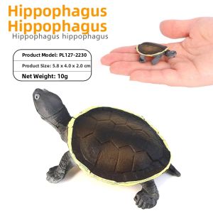Cute Mini Realistic Turtle Models Solid