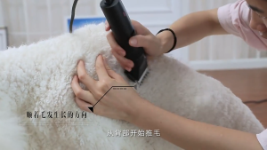 An LAN MALL【COD】Professional Pet Hair Clipper Shaver Suitable For Dogs And Cats Shaver Low Noise Electric Dog Hair Cat Hair Trimmer Suitable For Home Pet Hospital Pet Grooming Tool
