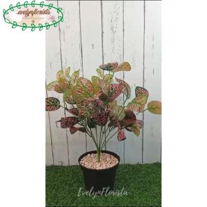 Tanaman Artificial Pohon Hias Aglonema Ruby X9 Plastik Pot Dasar Dekorasi Ruang Tamu