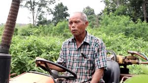 ลาวา1ลิตร ปุ๋ยน้ำทางใบ สูตรเข็มข้น ลาวาธาตุอาหารรอง ครบ 13 ธาตุ สำหรับพืช ช่วยให้ใบเขียว รากสมบูรณ์ ป้องกันหลุดร่วง ใช้ได้กับพืชผักทุกชนิด สะสมอาหารได้ดี  ขั่วเหนี่ยว ติดลูกดี