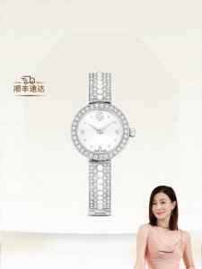 Swarovski | High-end Gift Watch