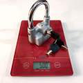 Gembok Alarm motor kunci cakram anti maling gembok kunci pagar rumah ukuran Besar besi 11mm. 