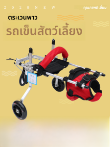 เก้าอี้รถพยาบาลแบบพกพาสำหรับแมว ขาหลัง ขาหลัง ขาพิการ ฟื้นฟู ฝึกซ้อม กระดูกสันหลัง กระดูกสันหลัง แมวเลี้ยง น้ำหนักเบา วัสดุอะลูมิเนียม