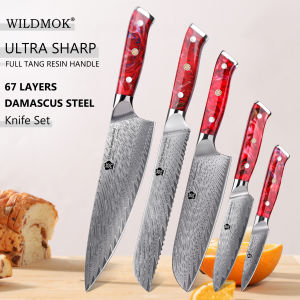WILDMOK Handmade 5 PCS Damascus Cutlery Razor Sharp 67 Layer VG10 Core Blade Exquisite Non-Slip Resin Handle Kitchen Gift Set