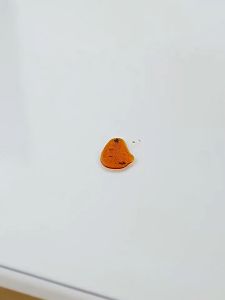 ความหนา ผ้าปูโต๊ะ แผ่นปูโต๊ะใส ต้านเชื้อแบคทีเรียเกรดอาหาร สนับสนุนCOD แผ่นใสปูโต๊ะ ผ้าคลุมโต๊ะ ผ้าปูโต๊ะ PVC ผ้าคลุมโต๊ะ ผ้าปูโต๊ะอาหาร พลาสติกปูโต๊ะ ใสพลาสติกพีวีซี PVC ผ้าปูโต๊ะกันน้ำ แผ่นพลาสติกใส พลาสติกใสหนา