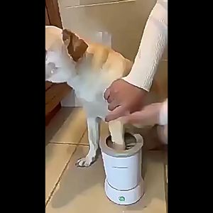 Pet Automatic Foot Wash Cup Dog Cat Cleaning Paw Smart