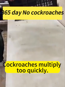 Cockroach Repellent gel box Long-Lasting Roach Control