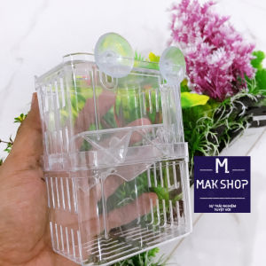 Lồng Đẻ Mica 2 Size Lớn Nhỏ Cho Cá 7 Màu Và Các Loại Cá Cảnh Khác