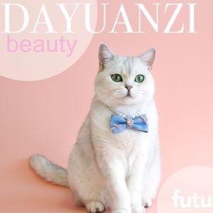 Pet pearl denim necklace princess style love gem rhinestone birthday bow devon cat than bear dog collar