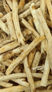 沙参 100g Sha shen chinese herbs 长沙参 短沙参