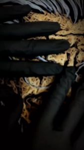 MADFACE Clothing - One Piece - Whitebeard Pirates / Roger Pirates - Anime Lines Series Shirt - Mens And Womens T-shirt