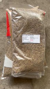 Jinten India | Cumin 1kg