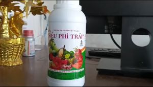 Siêu Phì Trái HL Hàn Lan chai 500ml Chuyên phì trái - lớn trái - to trái - bóng trái - lên màu trái