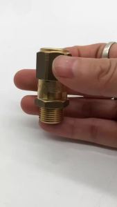 ชิ้นส่วนเครื่องชงกาแฟกึ่งอัตโนมัติ วาล์วความดันสูง G3/8 2Bar วาล์วความปลอดภัยสำหรับเครื่องชงกาแฟ NUOVA Faema Expobar