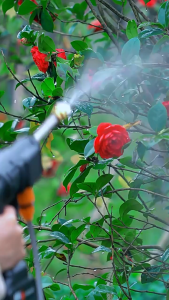 WATER JET 998VF CAR WASHER REAIM WATER JET PRESSURE WASHER PUMP CAR WASH SPRAY GUN 洗車水槍 水枪 WATER JET CORDLESS